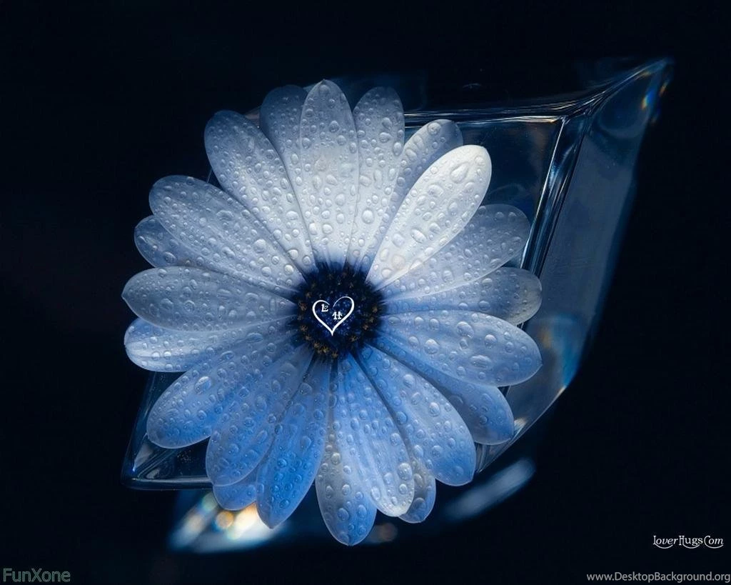 Amazing 3D Wallpapers Wallpapers High Definition