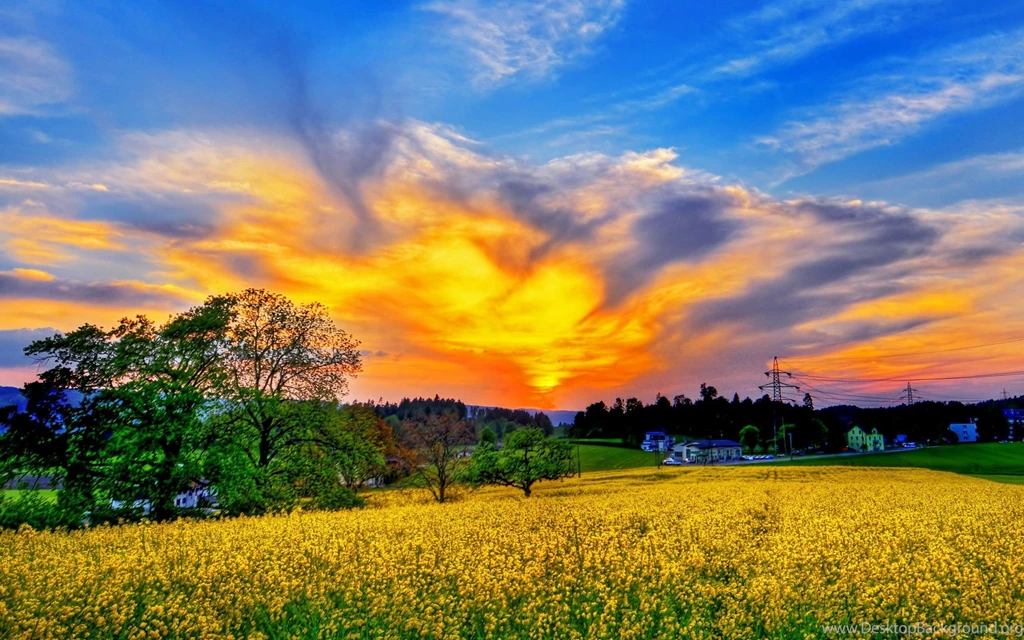 Dream Spring 2012 Beautiful Sky Wallpapers HD Wallpapers 96648
