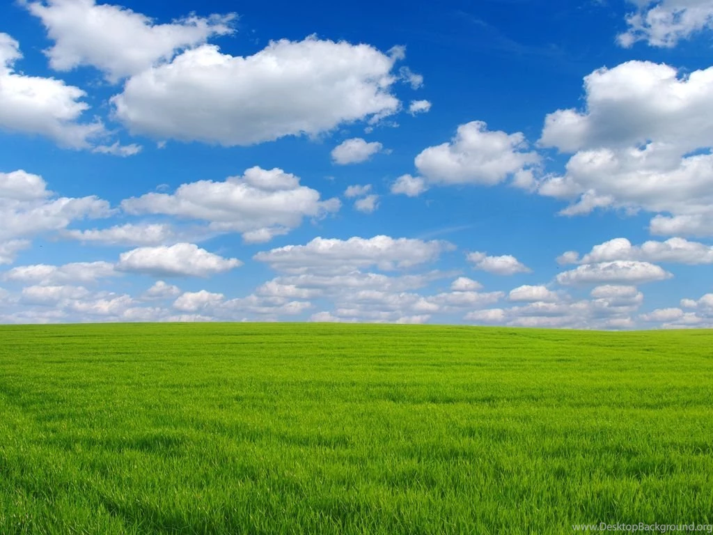 Wallpaperlite.com