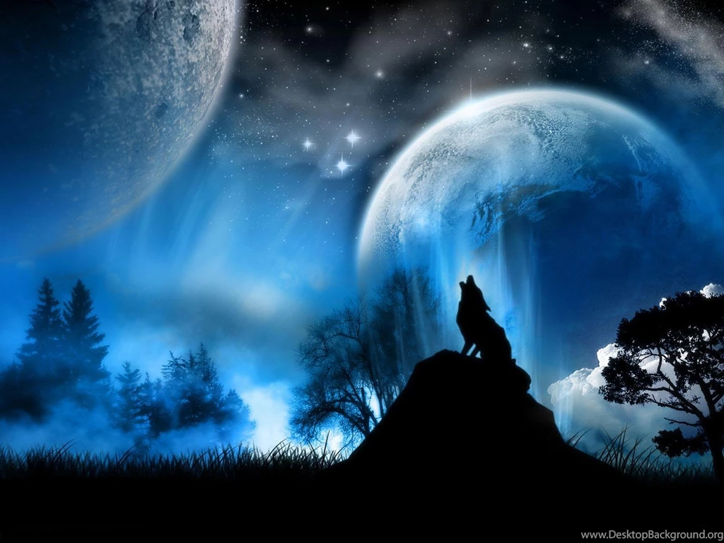 Latest Wild Animals Mac Apple Desktop Backgrounds Wallpapers Hq