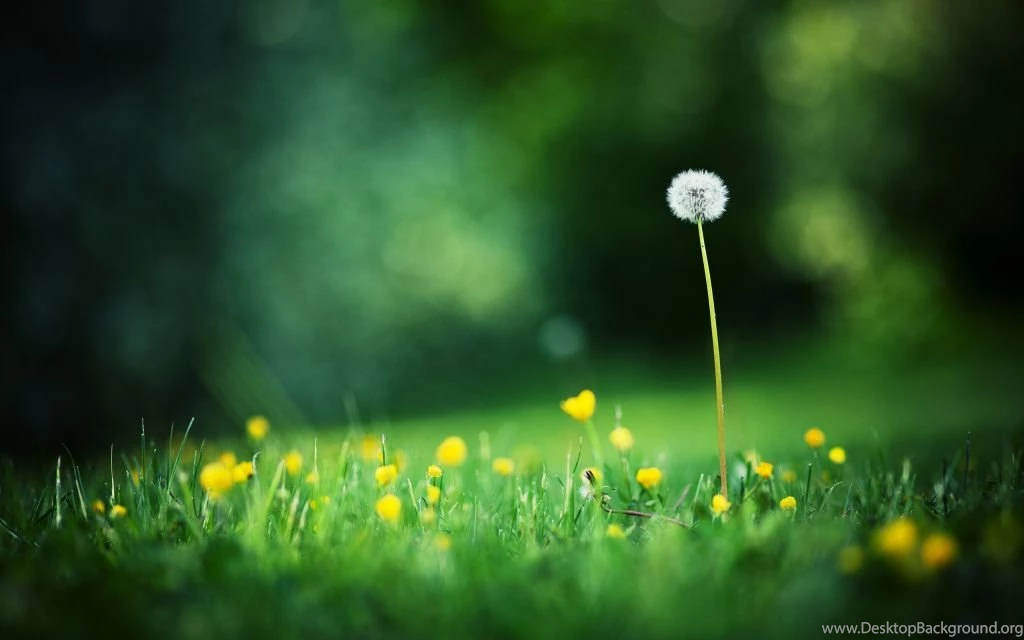 Blurry HD Backgrounds HD Wallpapers
