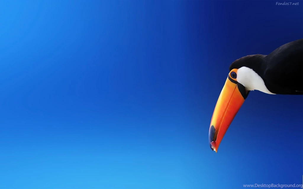 Exotic Percussion Wallpapers 18685