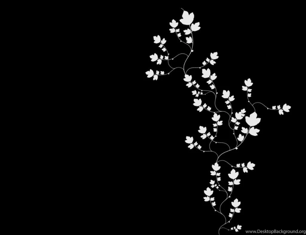 Gallery For   Beautiful Black Backgrounds Wallpapers