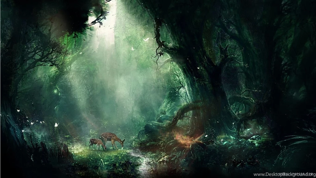 Fantasy Forest HD Wallpapers IHD Wallpapers