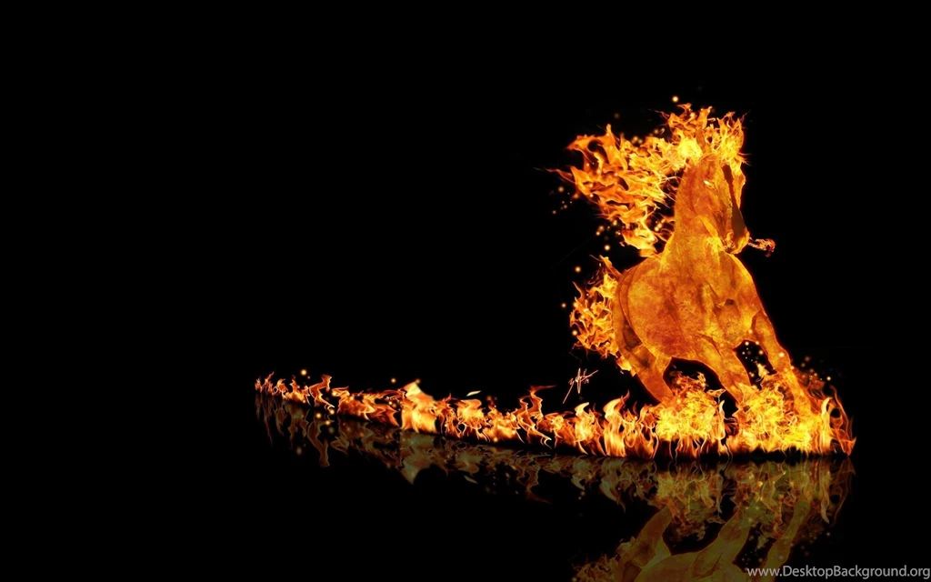 Horse On Fire With A Burning Trail   WALLPAPERS HD
