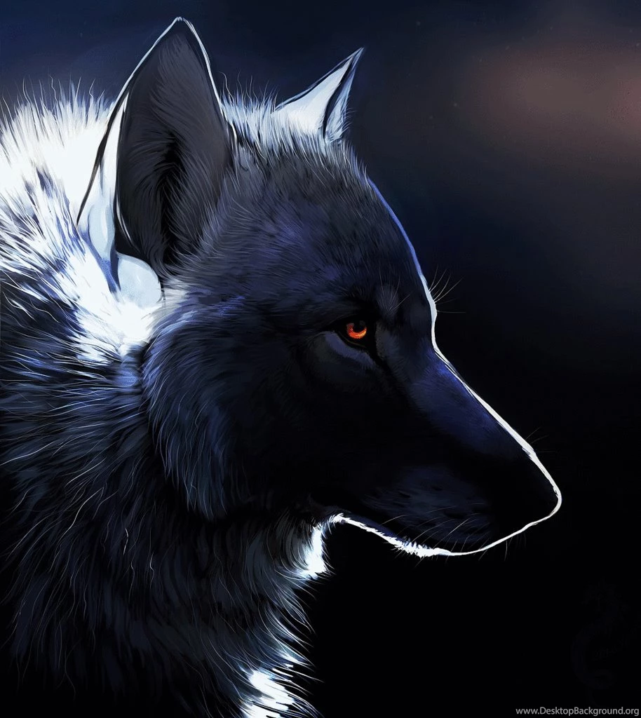 Pin By Patricia Senechal On Mes Amis Les Loups