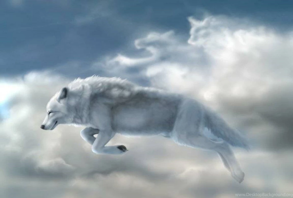 Wolf Artwork Wallpapers   (