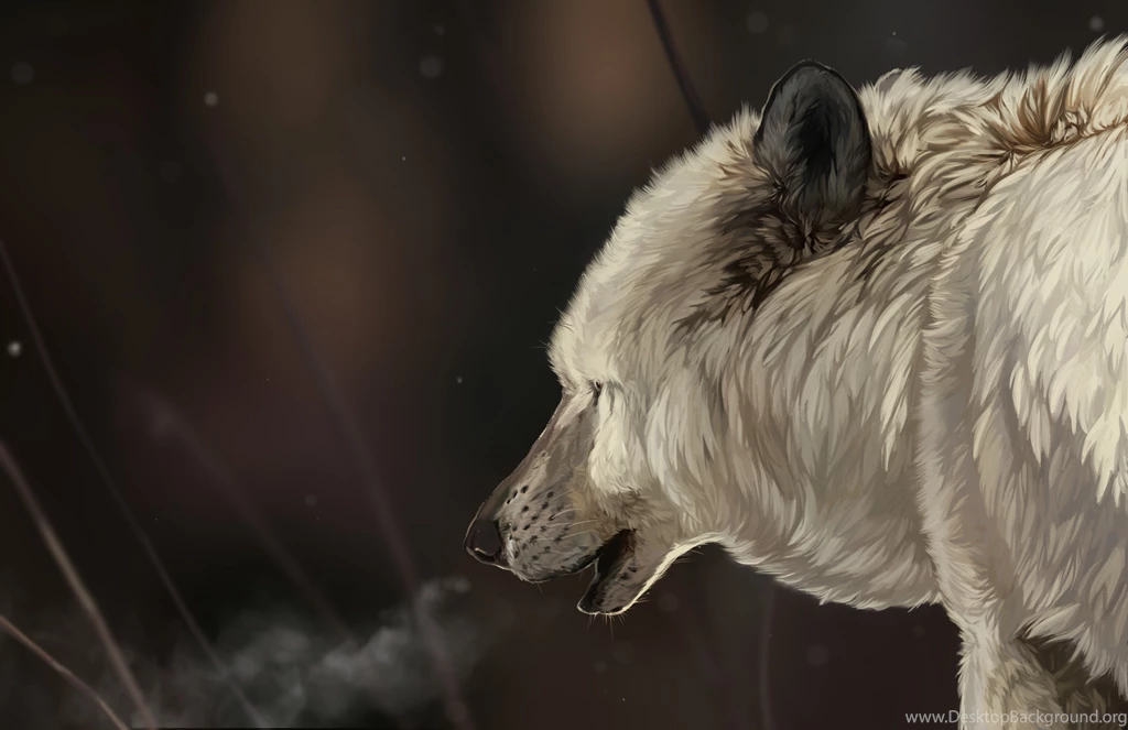Painting, Beauty, Art, Wolves, Alone, Wild Wolf, Winter, Hd Wallpapers