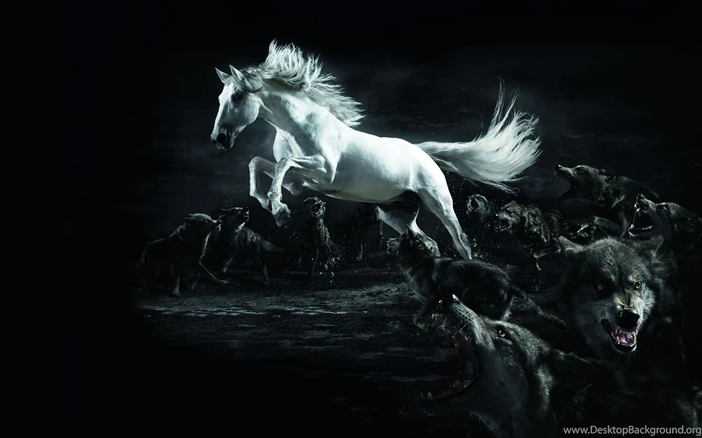 White Horse Attacked By Wolves / Digital Art Wallpapers