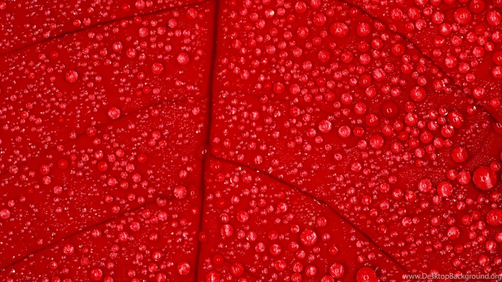 Wet red texture desktop background 578508.jpg