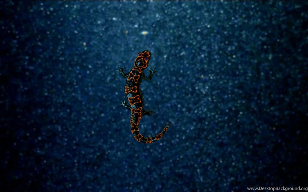 137 Wallpapers Of Ubuntu 13.10 Saucy Salamander Wallpapers Contest ...