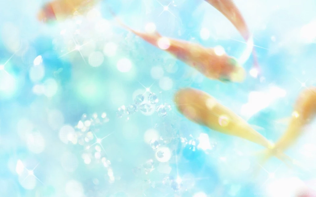 50 Shiny Beautiful Wallpapers HD 1920 X 1200 Www.HQPictures.tk ...