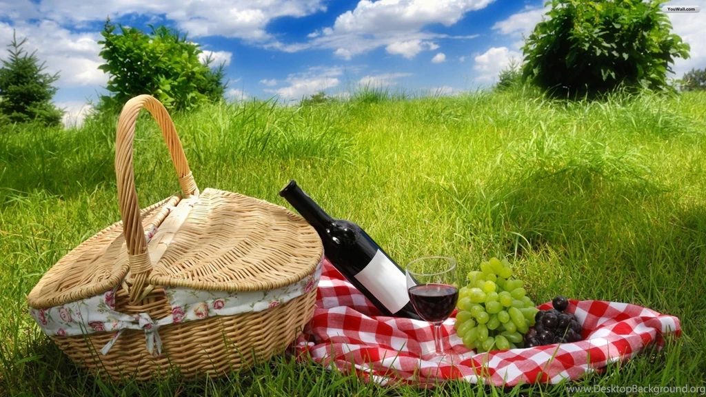 Picnic Wallpapers Widescreen