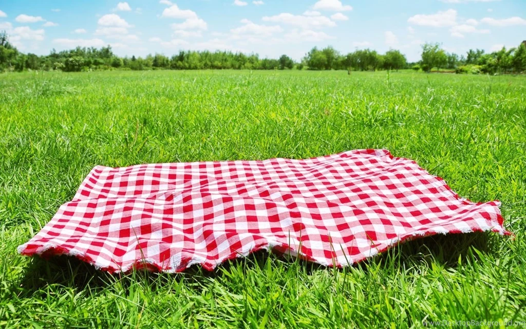 Picnic Wallpapers 3872x2592px