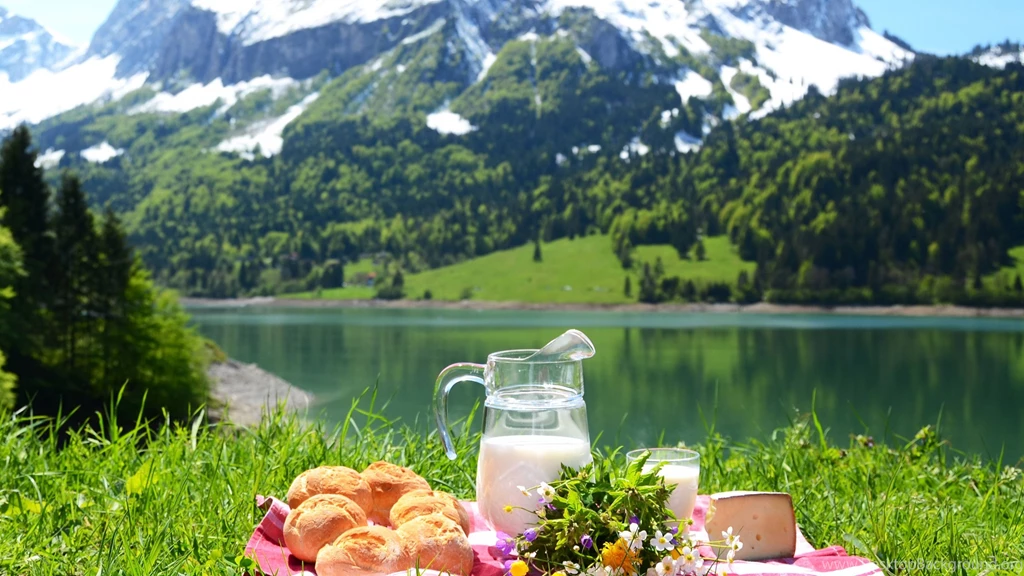 Picnic Wallpapers Photo