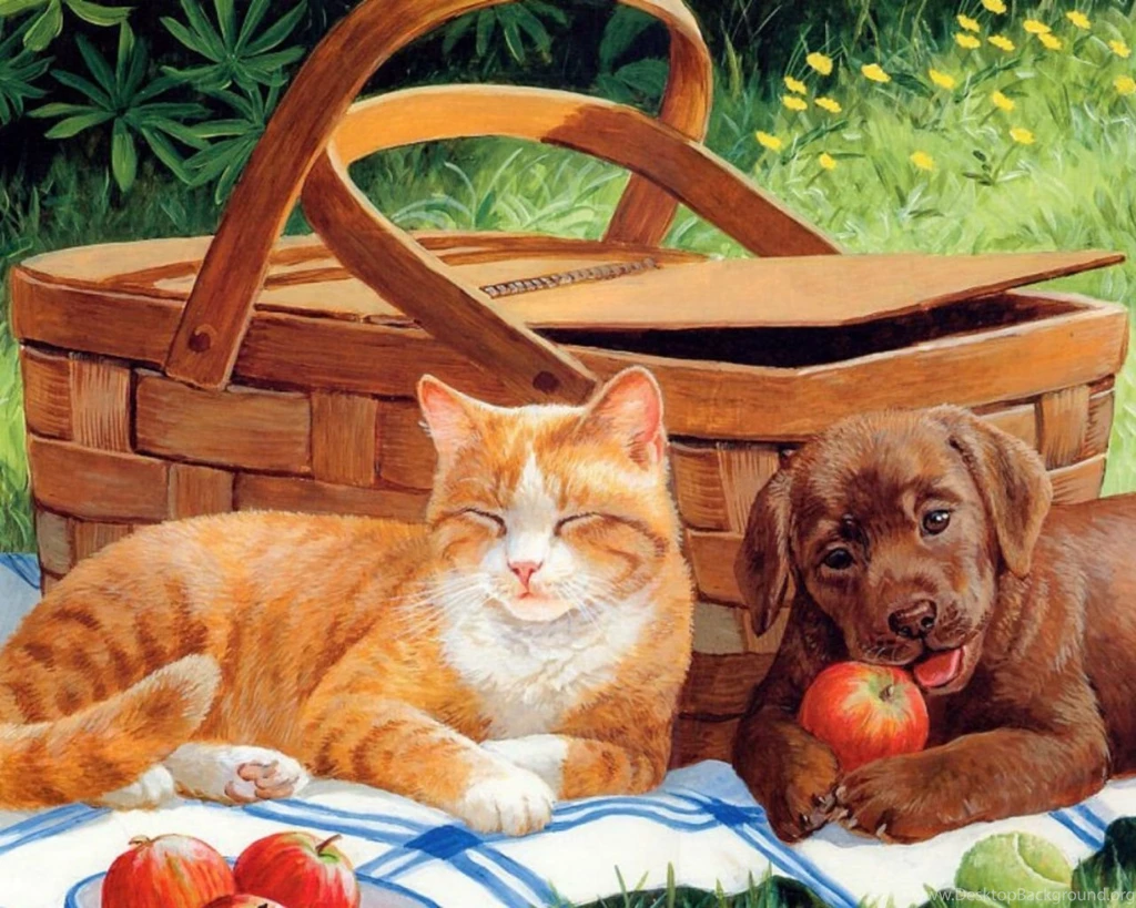 1280x1024 Cute Cat & Dog Picnic Desktop PC And Mac Wallpapers