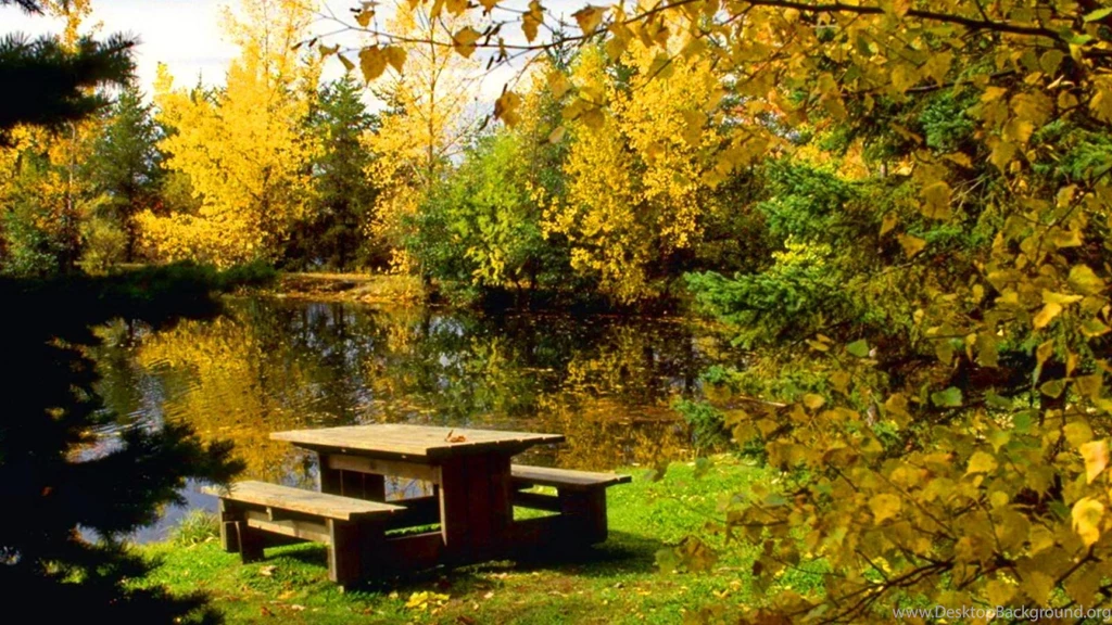 A Place For Picnic Wallpapers (