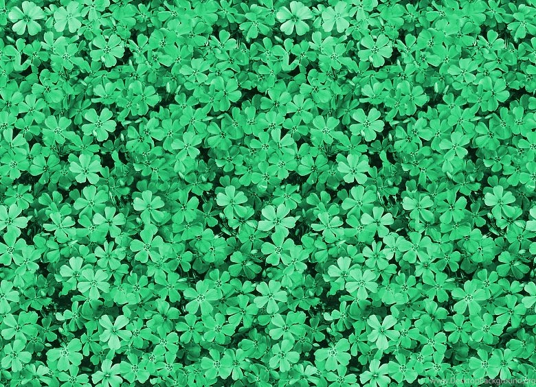 Pretty Field Of Green Flowers Tumblr Dashboard Theme Floral Themes