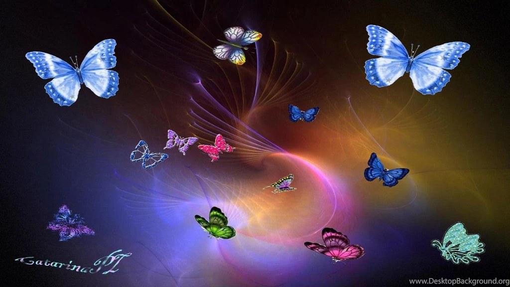 Colorful Butterfly Hd 38 Desktop Backgrounds   Hivewallpaper.com