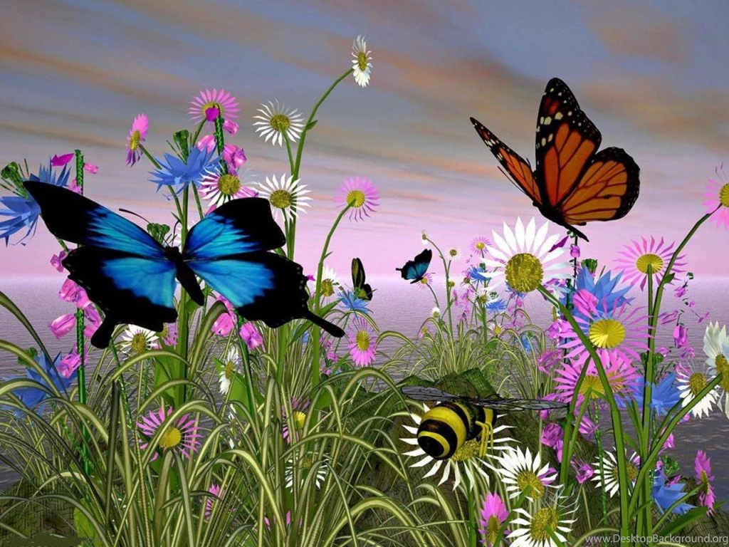 Colorful Butterfly On Flower 27 High Resolution Wallpapers ...