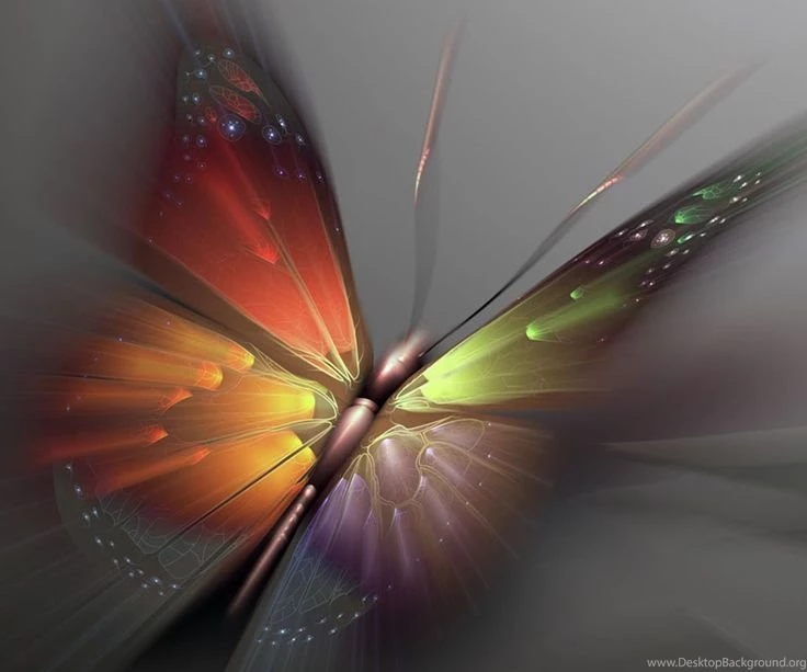 Beautiful Colorful Butterflies