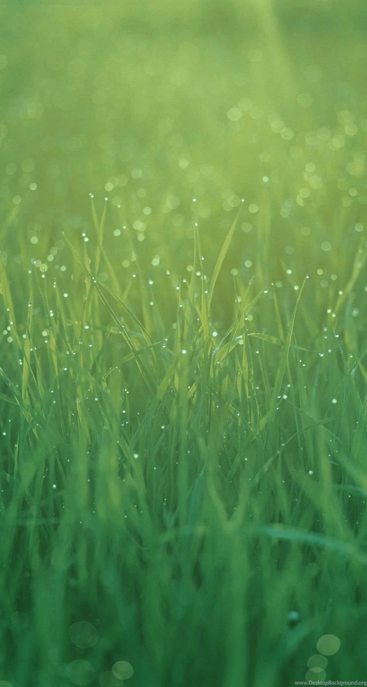iPhone 5s Wallpapers