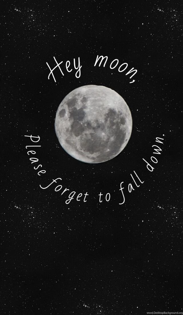 Northern Downpour Panic! At The Disco iPhone 5 Wallpapers