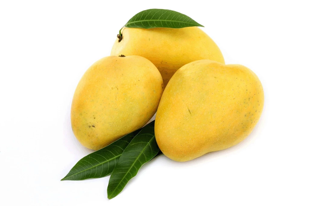 Mango Delicious Wallpapers HD Mango