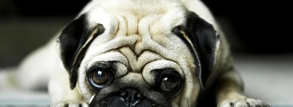 Cute Laptop Backgrounds   Wallpapers