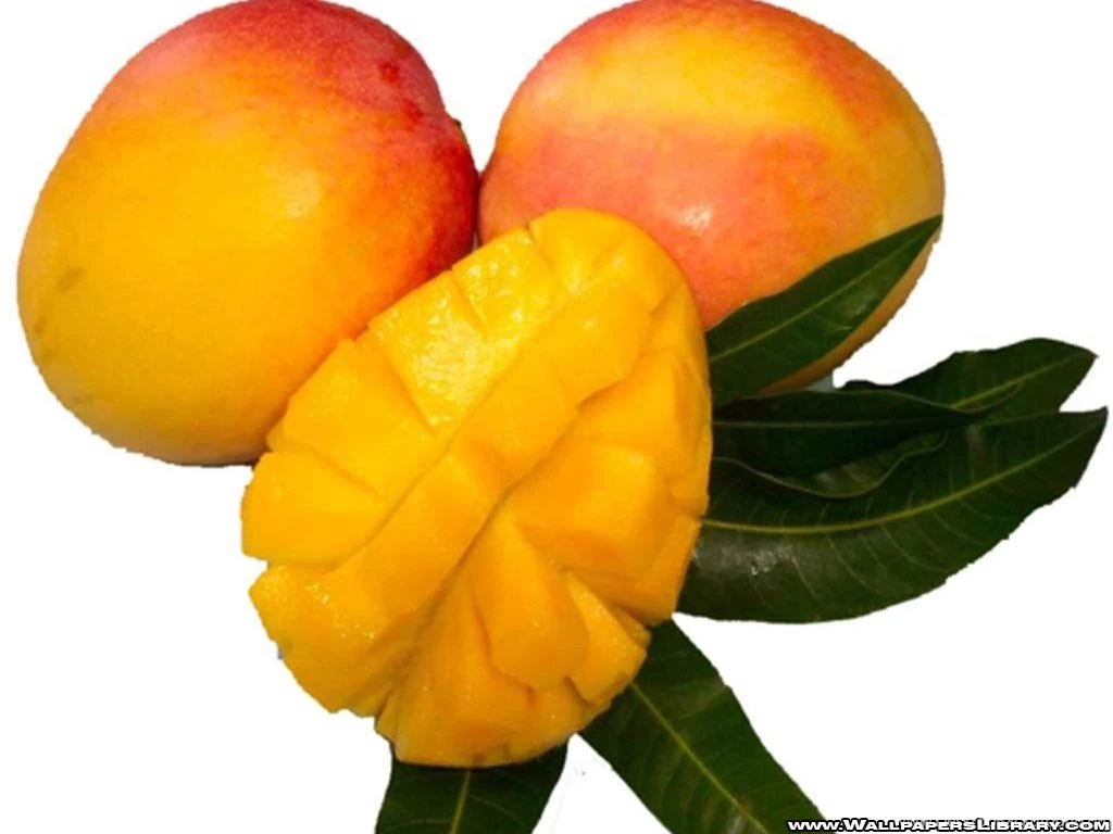 Mango Wallpapers Hd Wallpapers ›› Page 0