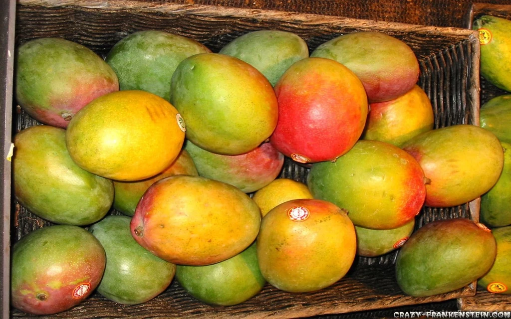Mango fruit wallpaper free download mangos fruit wallpapers 1680x1050.jpg