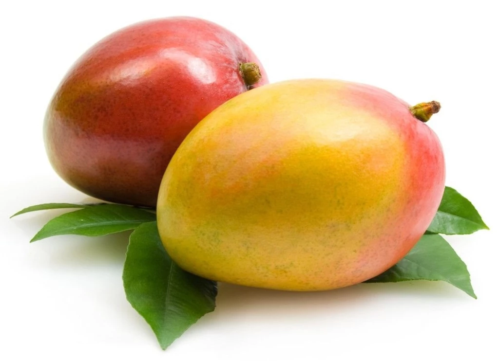 The Original MANGO Hat MAN