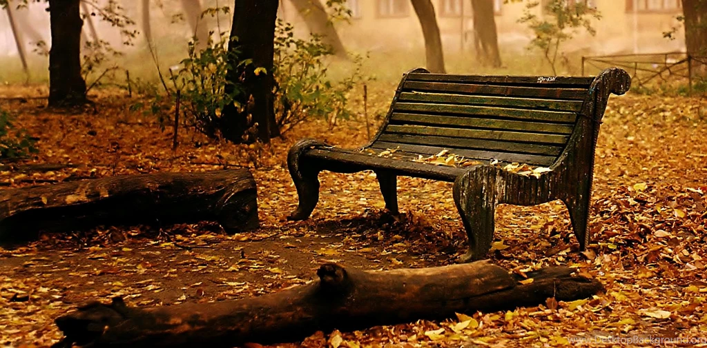 Fall High Definition Wallpapers