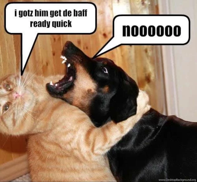 Funny