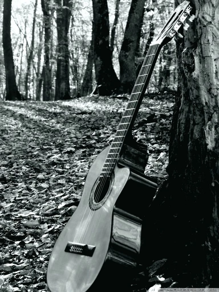 Forrest Guitar HD Desktop Wallpapers : Widescreen : High Definition ...