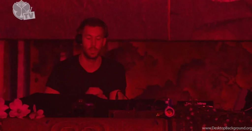 Calvin harris set tomorrowWorld 2013 crowd crazy nigh picture hd ...