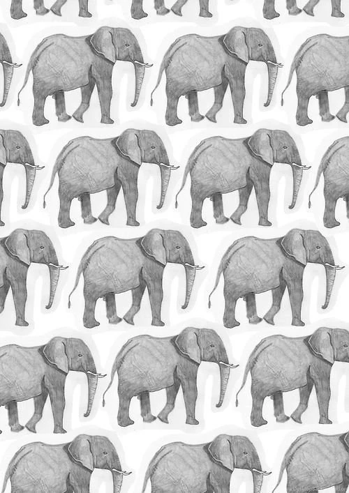 Elephant Pattern Iphone Wallpapers