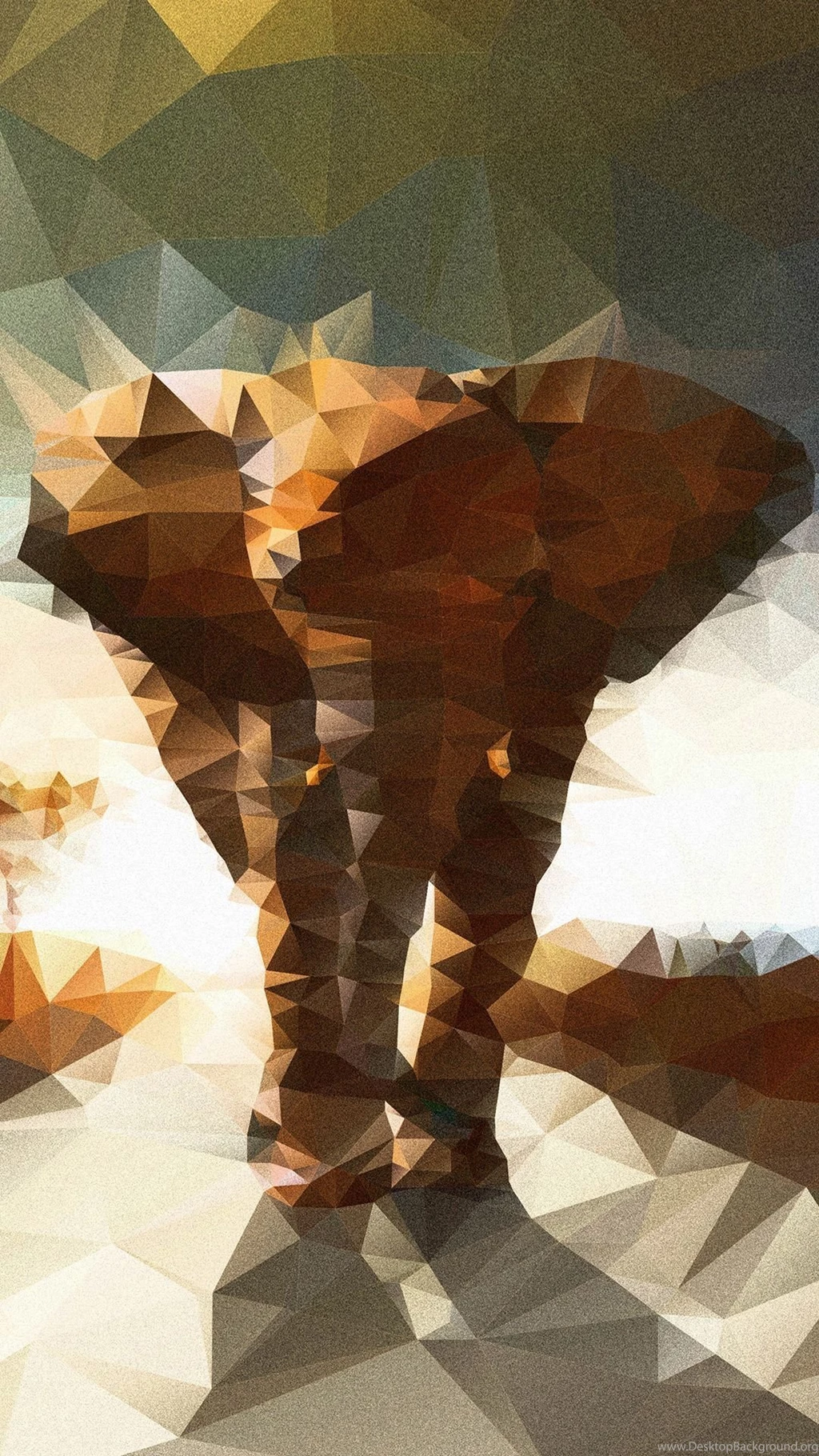 Elephant5_1080.jpg