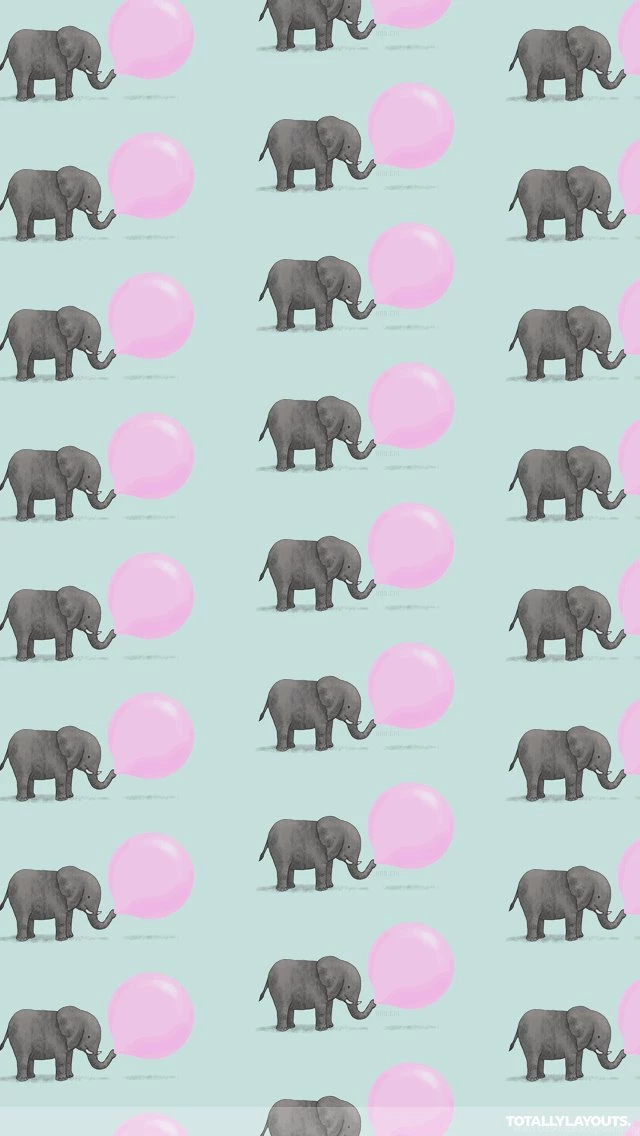 Elephant Blowing Bubble Gum iPhone Wallpapers Animal Wallpapers