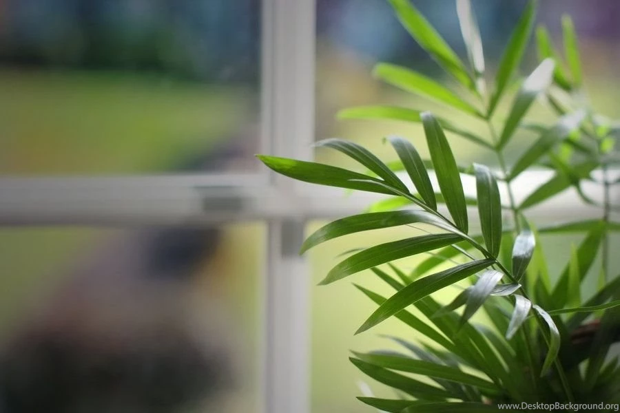 Chill Out Wallpapers By Katosu On DeviantArt