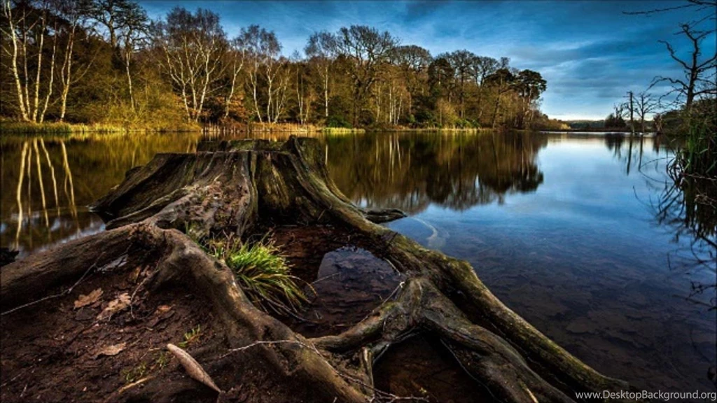 Relaxing And Inspiring Chill Out & Lounge Backgrounds Music With HD ...