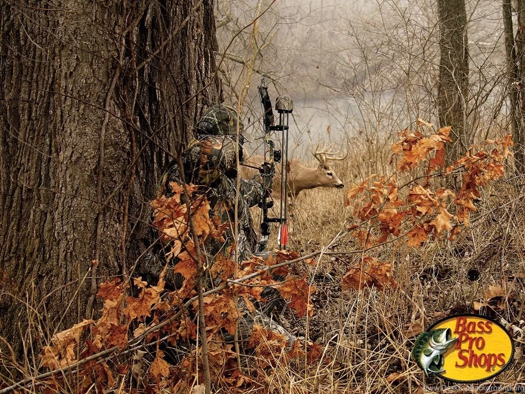 HD Archery Desktop Wallpapers / Wallpapers Database