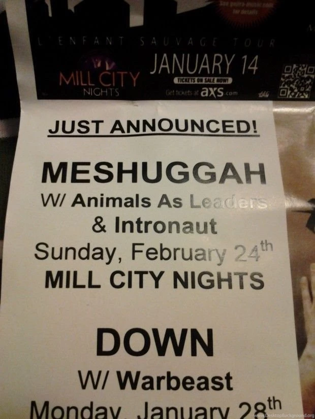 Animals As Leaders
