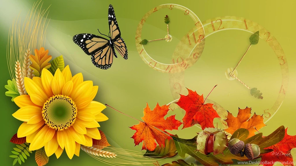 Sunflower For Fall >> HD Wallpaper, Get It Now!