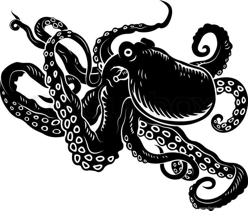 Vector Nice Octopus Isolated On Backgrounds