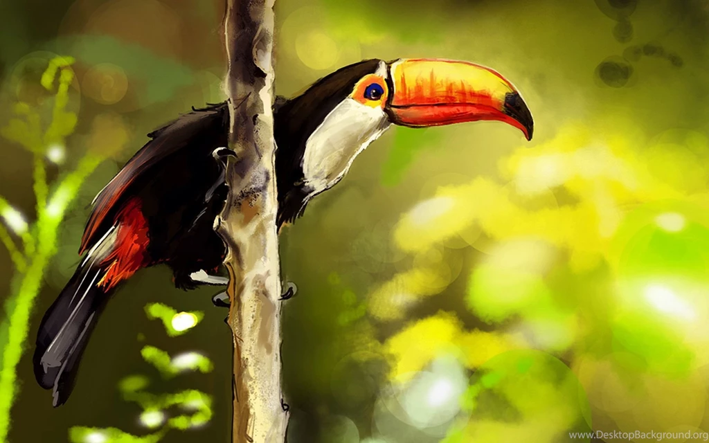 Toucan Wallpapers