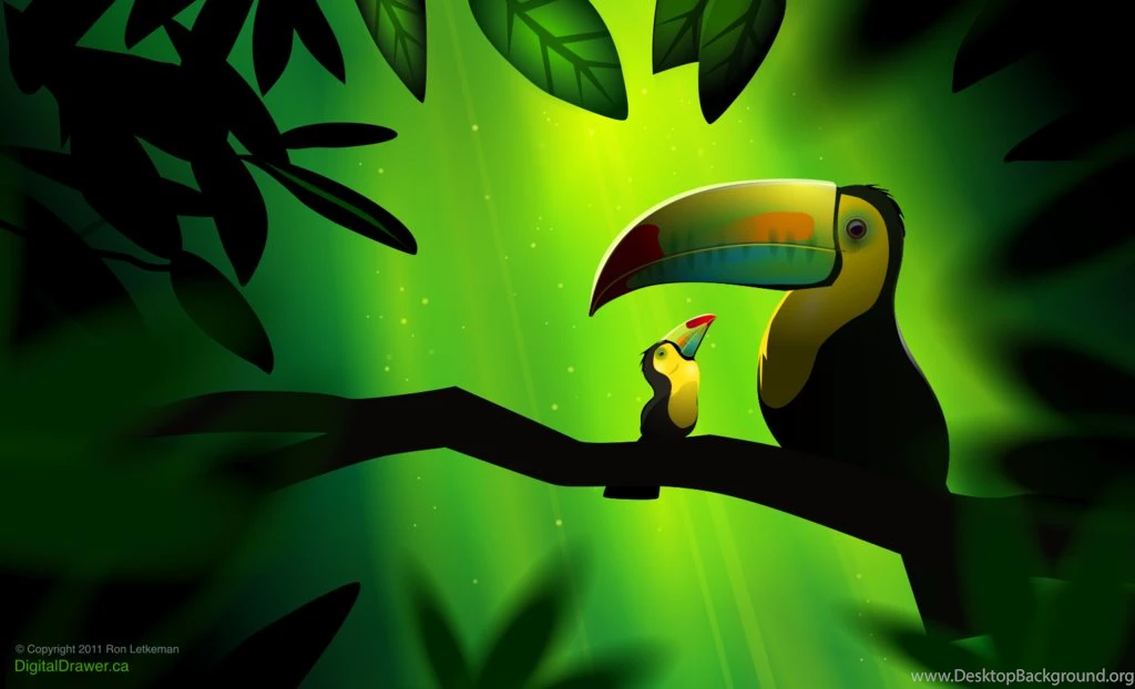 Toucan Wallpapers
