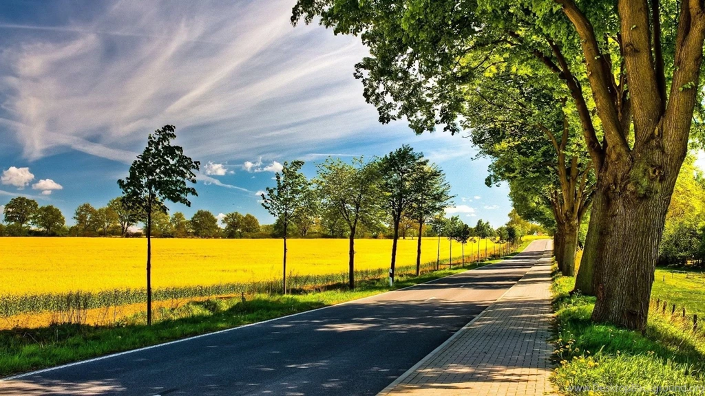 Fields: Lovely Summer Road Hdr Fields Clouds Trees Shadows HD ...