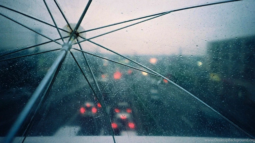 Rain Wallpapers High Definition Photo