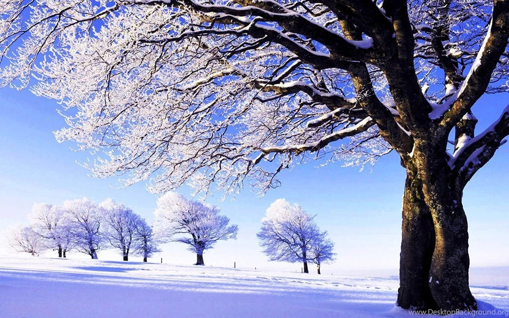 Free Downloadable Wallpapers For PC Cool Wallpapers Photos Of Where ...